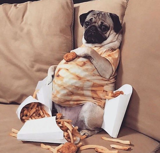 Bildschirmarbeiter - Picdump 24.03.2017