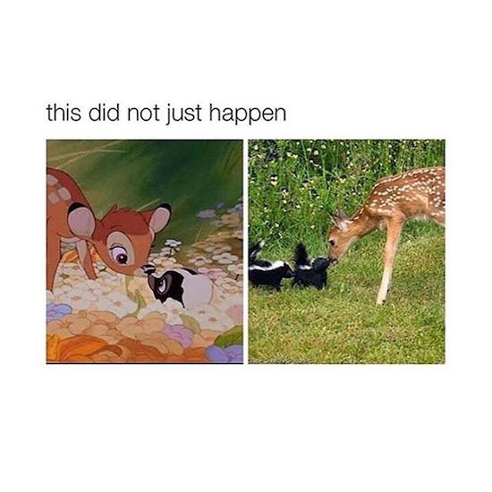 Bildschirmarbeiter - Picdump 24.03.2017