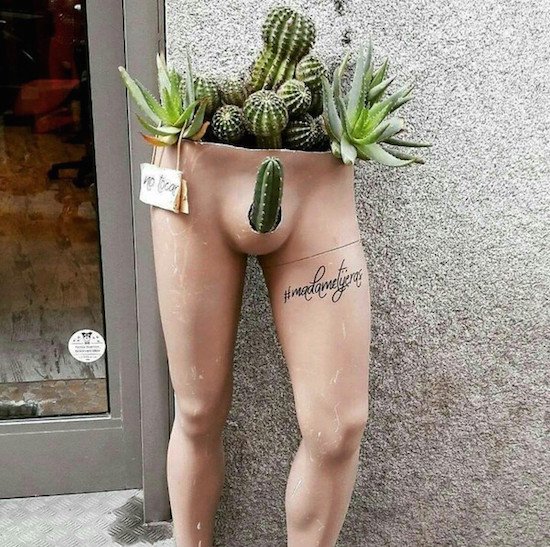 Bildschirmarbeiter - Picdump 24.03.2017