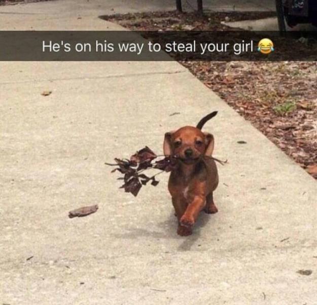 Bildschirmarbeiter - Picdump 24.03.2017