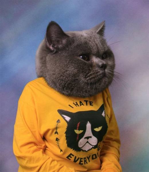 Bildschirmarbeiter - Picdump 31.03.2017