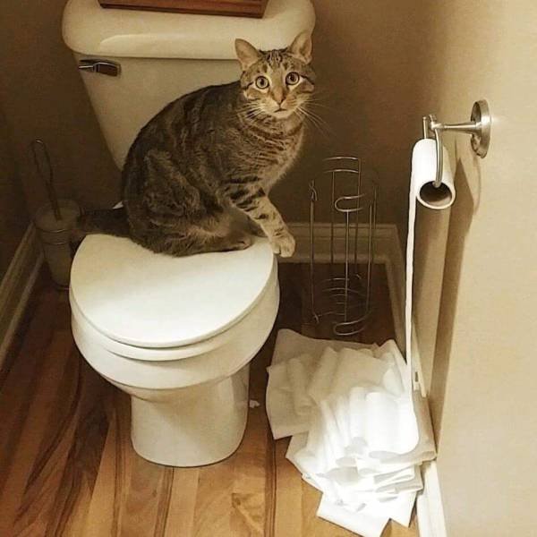 Bildschirmarbeiter - Picdump 31.03.2017