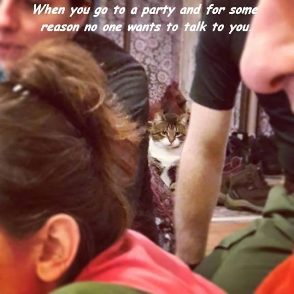 Bildschirmarbeiter - Picdump 31.03.2017