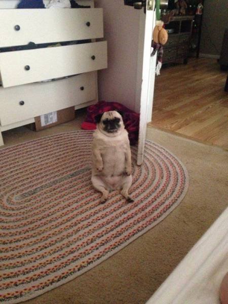 Bildschirmarbeiter - Picdump 31.03.2017