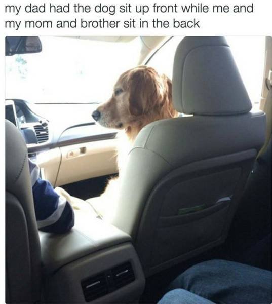 Bildschirmarbeiter - Picdump 31.03.2017