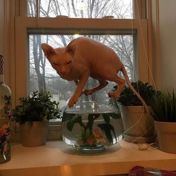 Bildschirmarbeiter - Picdump 31.03.2017