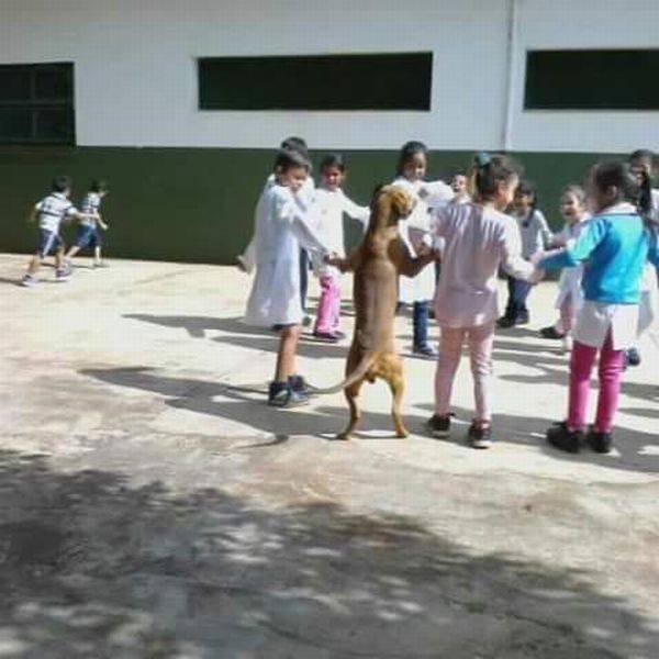 Bildschirmarbeiter - Picdump 31.03.2017