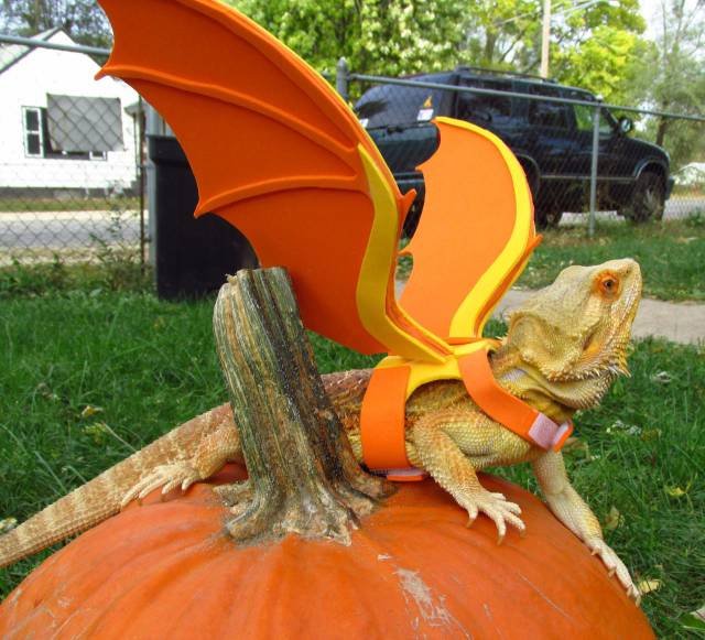 Bildschirmarbeiter - Picdump 31.03.2017