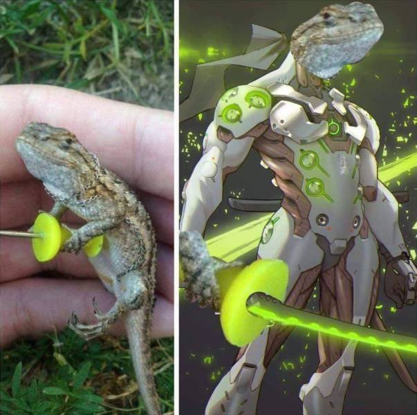 Bildschirmarbeiter - Picdump 31.03.2017