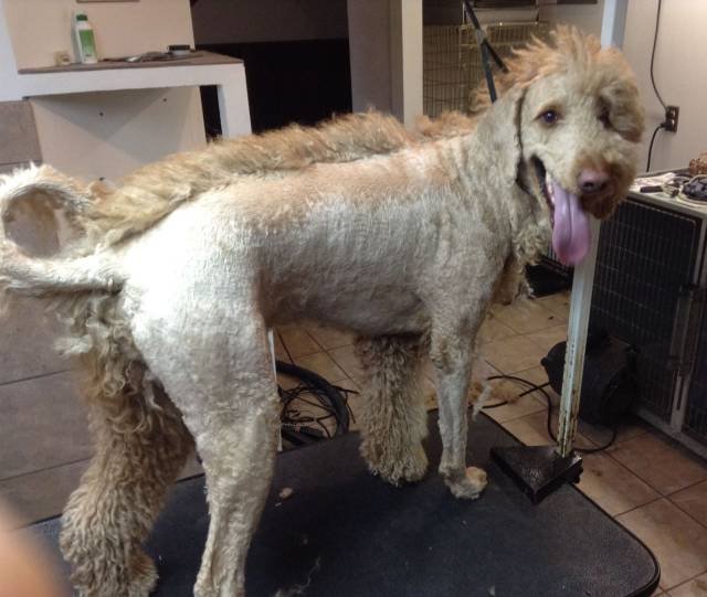 Bildschirmarbeiter - Picdump 31.03.2017