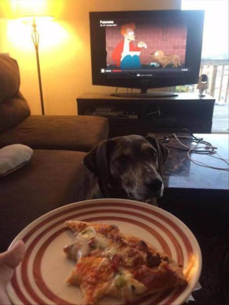 Bildschirmarbeiter - Picdump 31.03.2017