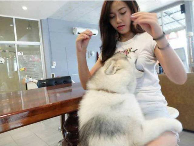 Bildschirmarbeiter - Picdump 07.04.2017