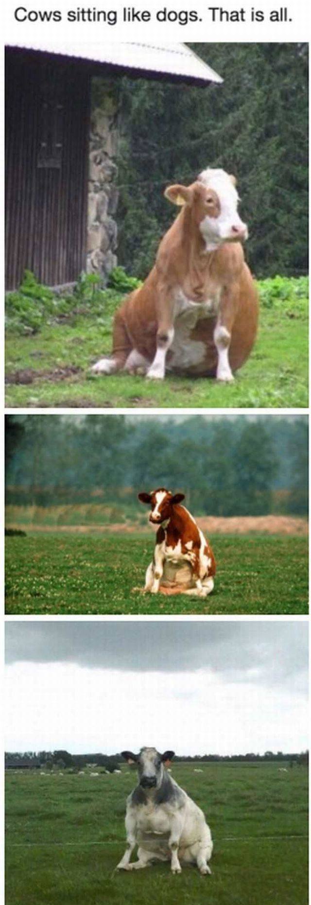 Bildschirmarbeiter - Picdump 07.04.2017