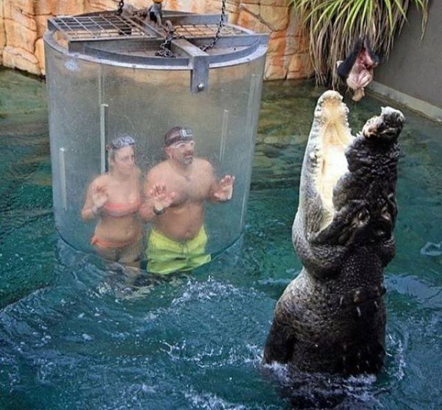 Bildschirmarbeiter - Picdump 07.04.2017