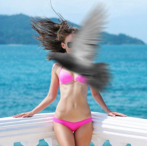 Bildschirmarbeiter - Picdump 07.04.2017