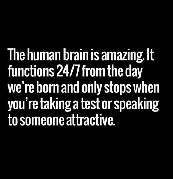 Bildschirmarbeiter - Picdump 07.04.2017