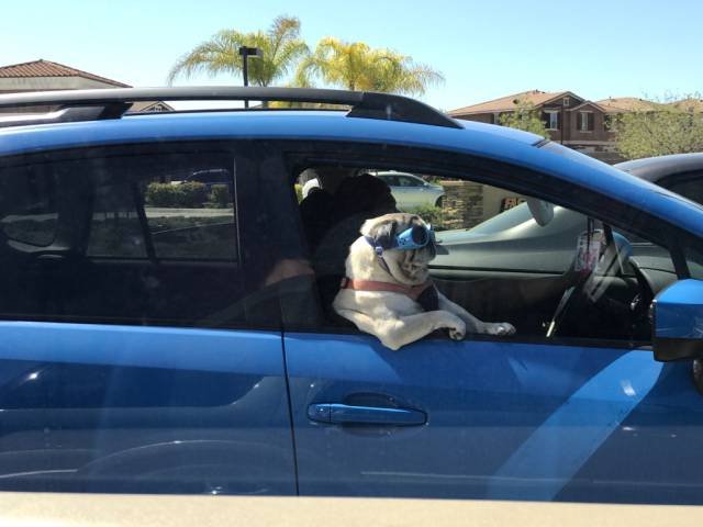 Bildschirmarbeiter - Picdump 07.04.2017