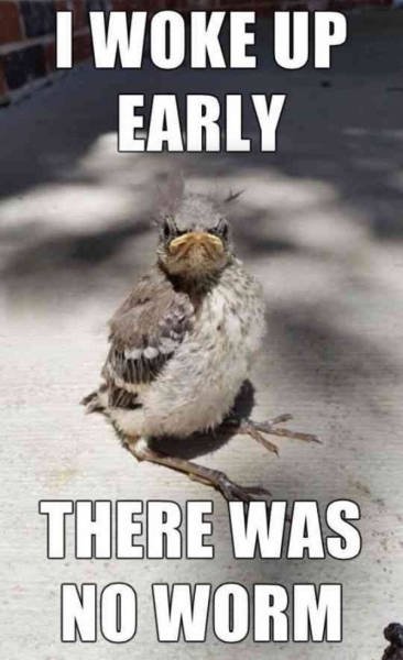 Bildschirmarbeiter - Picdump 07.04.2017