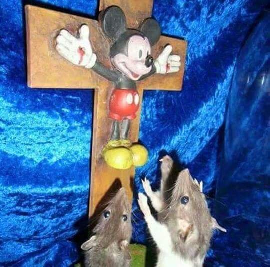 Bildschirmarbeiter - Picdump 07.04.2017