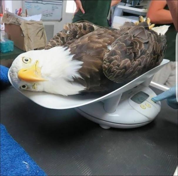 Bildschirmarbeiter - Picdump 07.04.2017