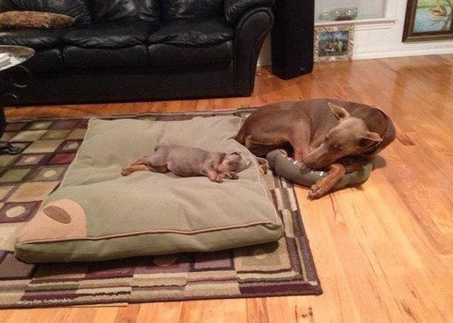 Bildschirmarbeiter - Picdump 07.04.2017