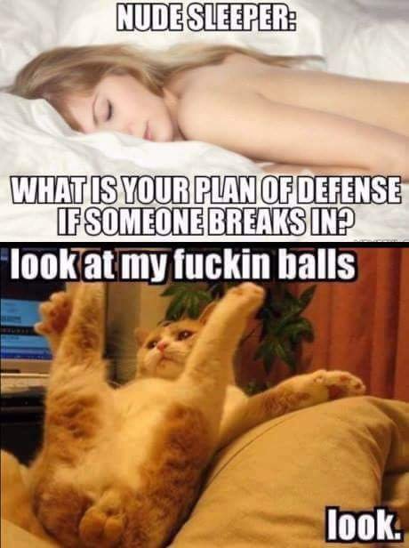 Bildschirmarbeiter - Picdump 07.04.2017