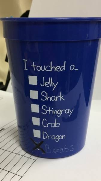 Bildschirmarbeiter - Picdump 14.04.2017