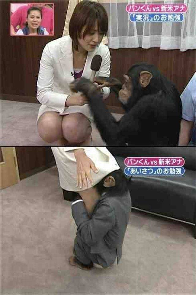 Bildschirmarbeiter - Picdump 14.04.2017