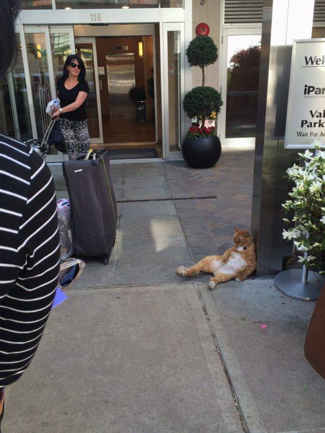 Bildschirmarbeiter - Picdump 14.04.2017