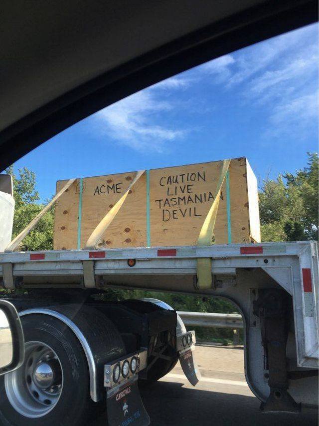 Bildschirmarbeiter - Picdump 14.04.2017