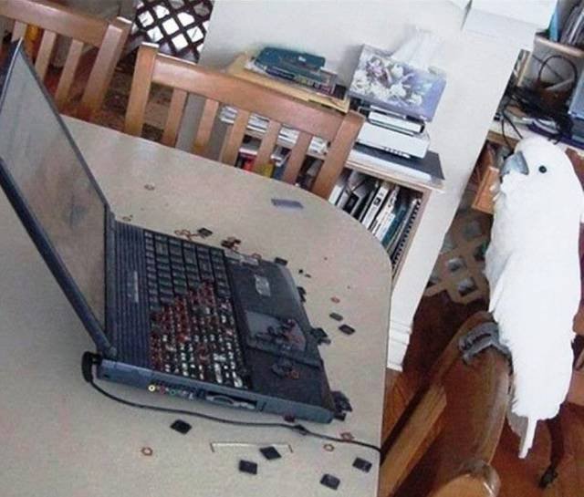 Bildschirmarbeiter - Picdump 14.04.2017