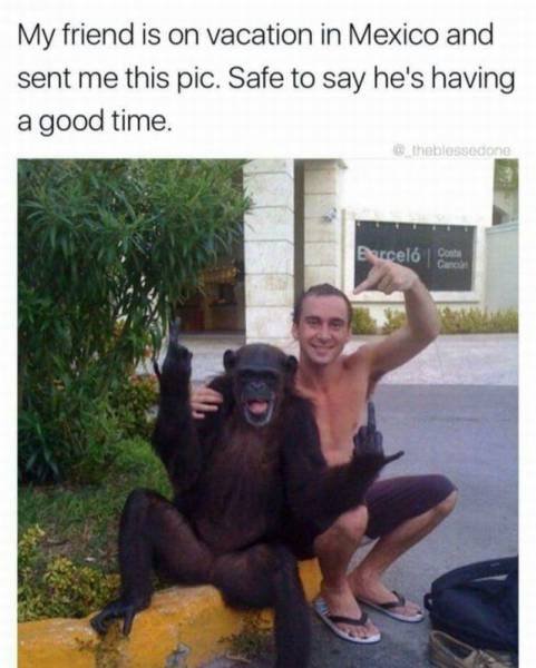 Bildschirmarbeiter - Picdump 14.04.2017