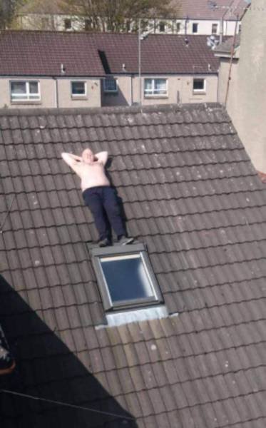 Bildschirmarbeiter - Picdump 14.04.2017