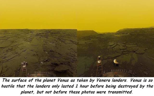 Bildschirmarbeiter - Picdump 14.04.2017