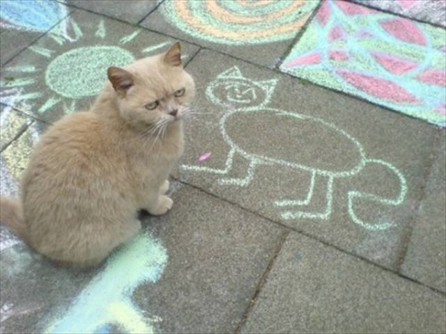 Bildschirmarbeiter - Picdump 14.04.2017