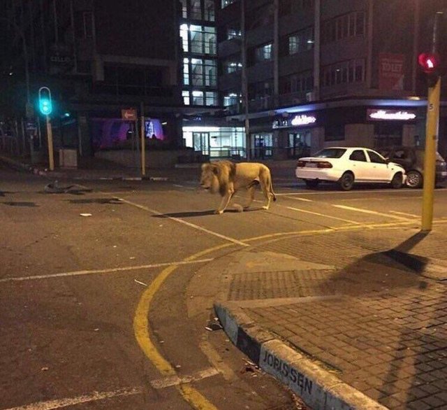 Bildschirmarbeiter - Picdump 14.04.2017