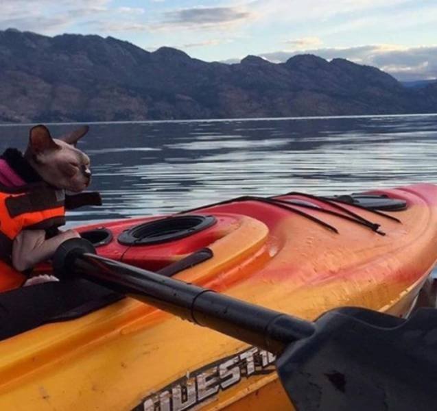 Bildschirmarbeiter - Picdump 21.04.2017