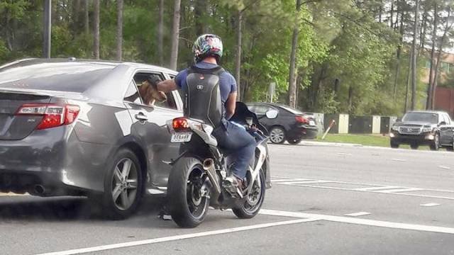 Bildschirmarbeiter - Picdump 21.04.2017