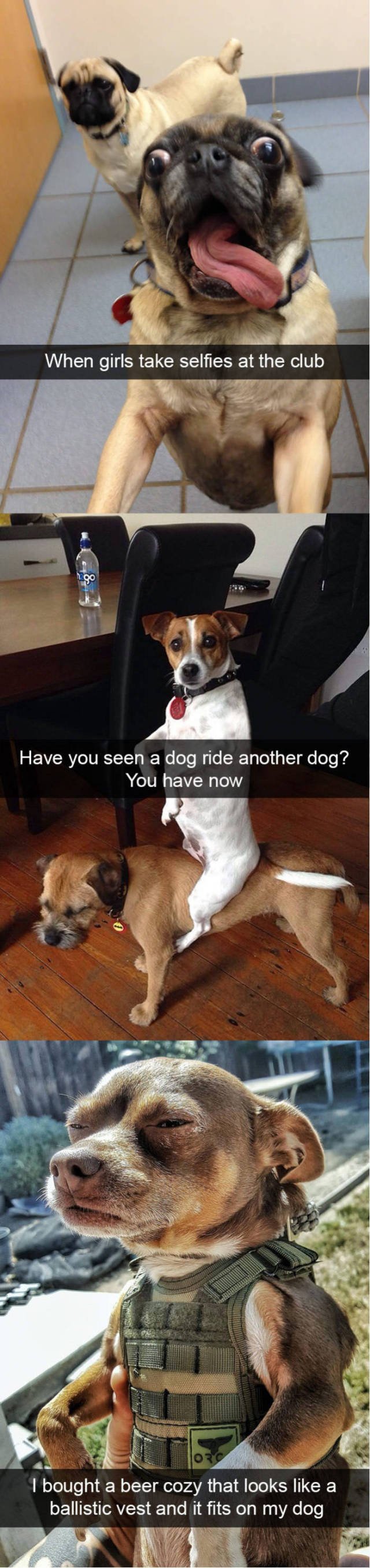 Bildschirmarbeiter - Picdump 21.04.2017