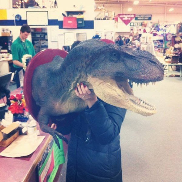 Bildschirmarbeiter - Picdump 21.04.2017