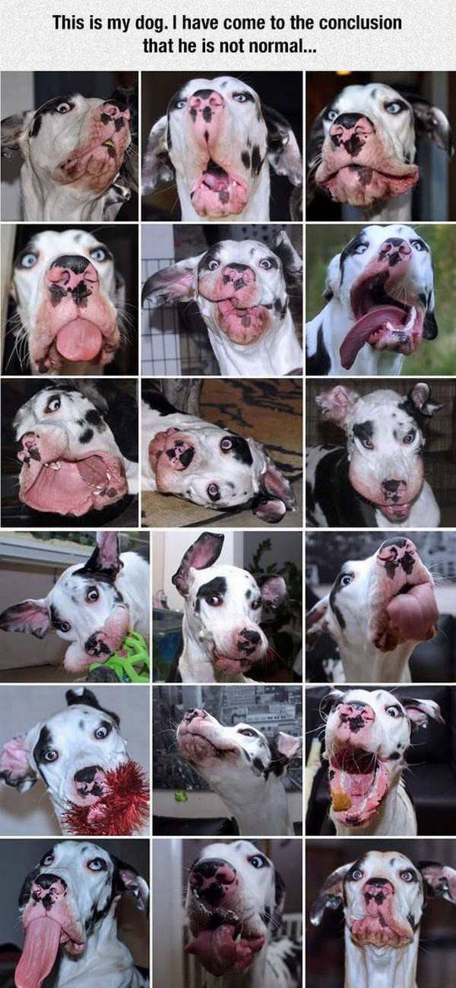 Bildschirmarbeiter - Picdump 28.04.2017 - NACHSCHLAG