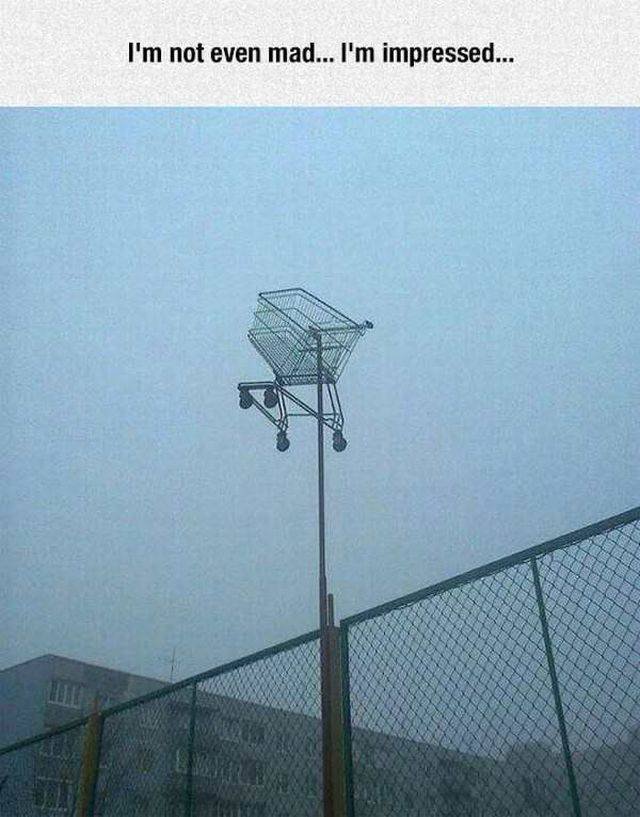 Bildschirmarbeiter - Picdump 28.04.2017 - NACHSCHLAG