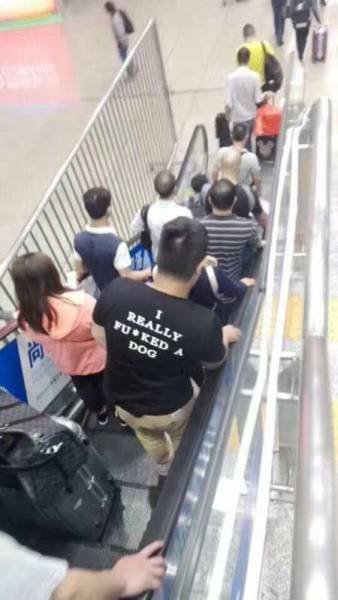 Bildschirmarbeiter - Picdump 28.04.2017 - NACHSCHLAG