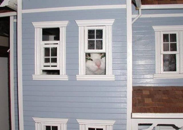 Bildschirmarbeiter - Picdump 28.04.2017 - NACHSCHLAG