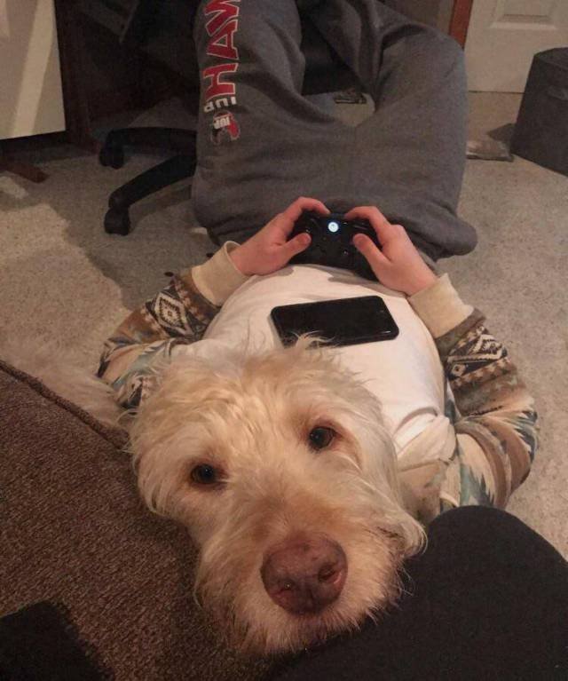 Bildschirmarbeiter - Picdump 28.04.2017 - NACHSCHLAG