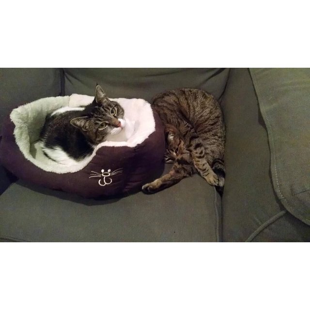 Bildschirmarbeiter - Picdump 28.04.2017