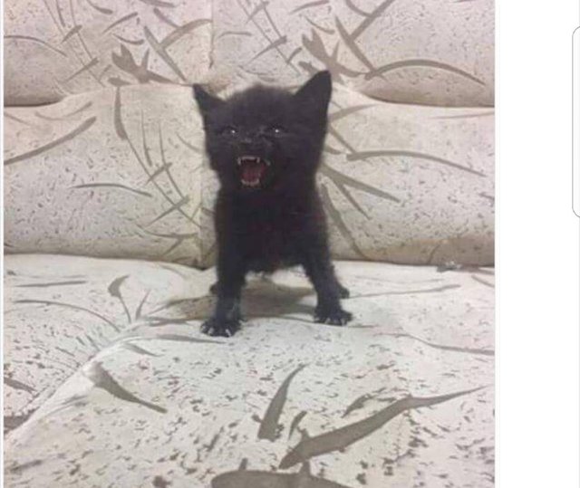 Bildschirmarbeiter - Picdump 28.04.2017