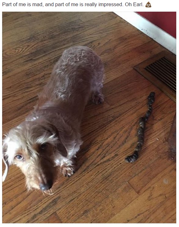 Bildschirmarbeiter - Picdump 28.04.2017