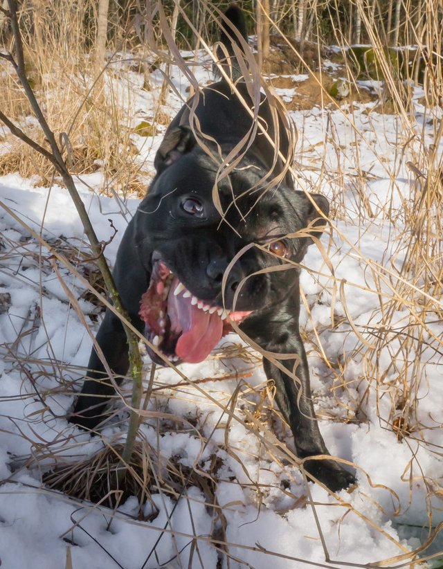 Bildschirmarbeiter - Picdump 28.04.2017