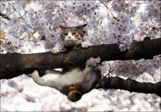 Bildschirmarbeiter - Picdump 28.04.2017